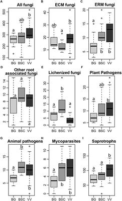 Vegetation, pH and Water Content as Main Factors for Shaping Fungal Richness, Community Composition and Functional Guilds Distribution in Soils of Western Greenland